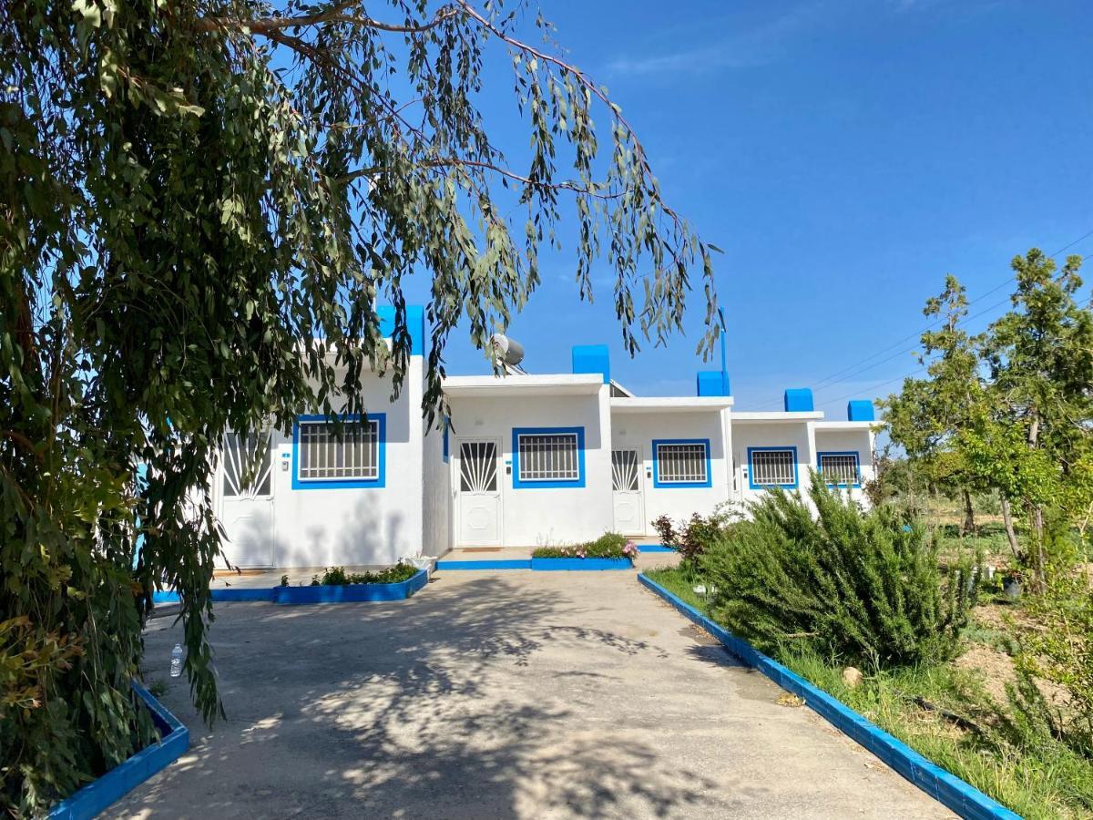 Elgreco Apartment, At Tigaki, Near The Sea "3" מראה חיצוני תמונה